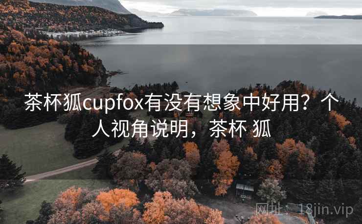 茶杯狐cupfox有没有想象中好用？个人视角说明，茶杯 狐